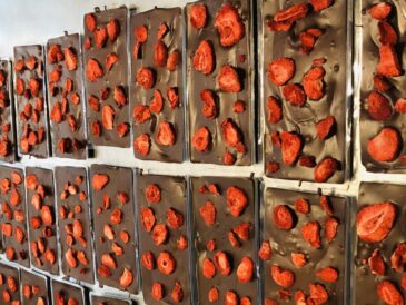 muzeum czekolady w poznaniu czy osoby na wózkach inwaldzkich wejdą do muzeum