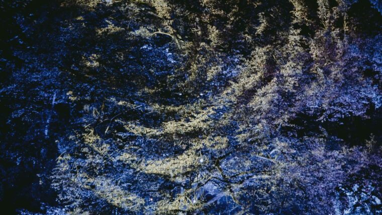 świąteczny nastrój w lumina park